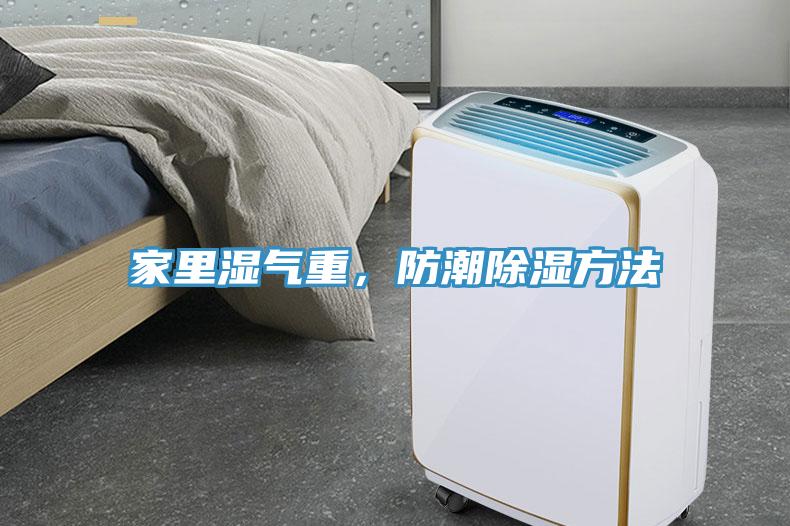 家里濕氣重，防潮除濕方法