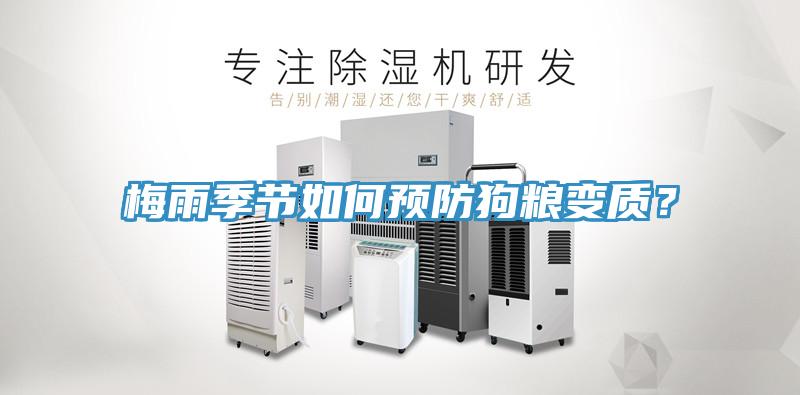 梅雨季節(jié)如何預(yù)防狗糧變質(zhì)？