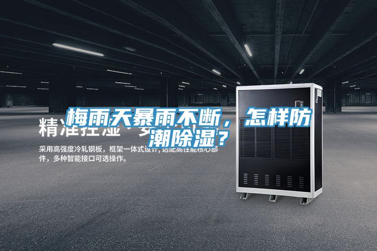 梅雨天暴雨不斷，怎樣防潮除濕？