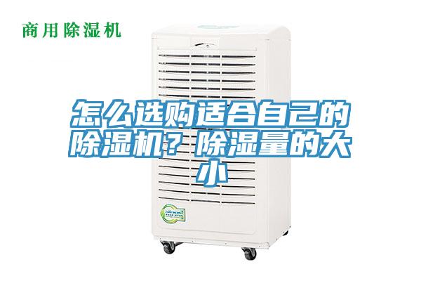 怎么選購適合自己的除濕機？除濕量的大小