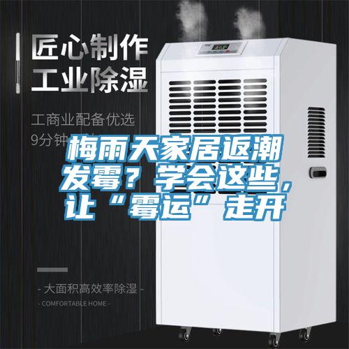 梅雨天家居返潮發(fā)霉？學(xué)會這些，讓“霉運”走開
