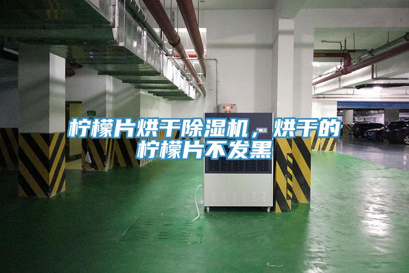 檸檬片烘干除濕機，烘干的檸檬片不發(fā)黑