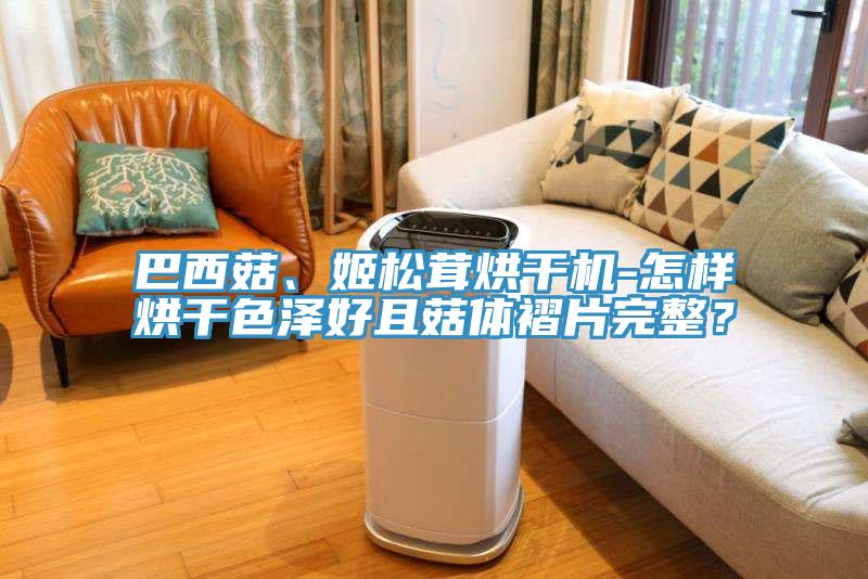 巴西菇、姬松茸烘干機-怎樣烘干色澤好且菇體褶片完整？
