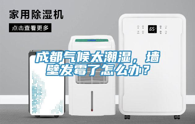 成都?xì)夂蛱睗瘢瑝Ρ诎l(fā)霉了怎么辦？
