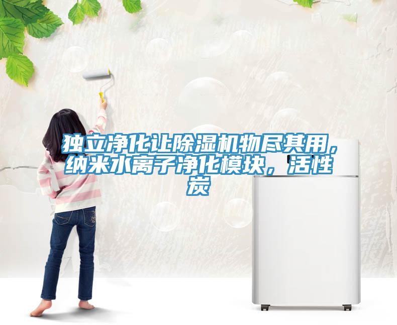 獨(dú)立凈化讓除濕機(jī)物盡其用，納米水離子凈化模塊，活性炭