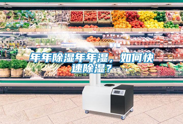 年年除濕年年濕，如何快速除濕？