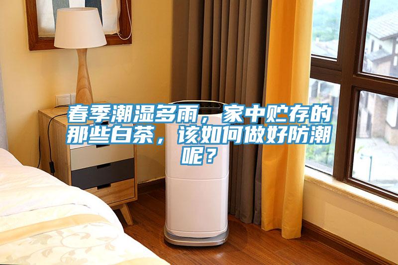 春季潮濕多雨，家中貯存的那些白茶，該如何做好防潮呢？