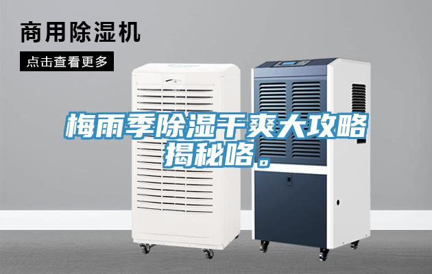 梅雨季除濕干爽大攻略揭秘咯。