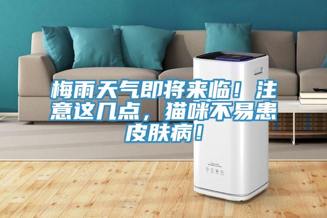 梅雨天氣即將來(lái)臨！注意這幾點(diǎn)，貓咪不易患皮膚?。?/></p>
                            <p style=