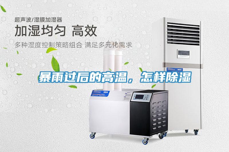 暴雨過后的高溫，怎樣除濕