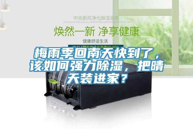 梅雨季回南天快到了，該如何強(qiáng)力除濕，把晴天裝進(jìn)家？