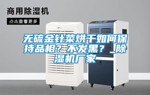 無硫金針菜烘干如何保持品相？不發(fā)黑？_除濕機(jī)廠家