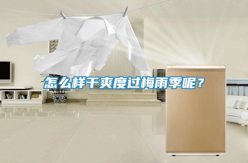 怎么樣干爽度過梅雨季呢？