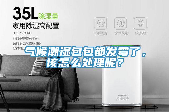 氣候潮濕包包都發(fā)霉了，該怎么處理呢？