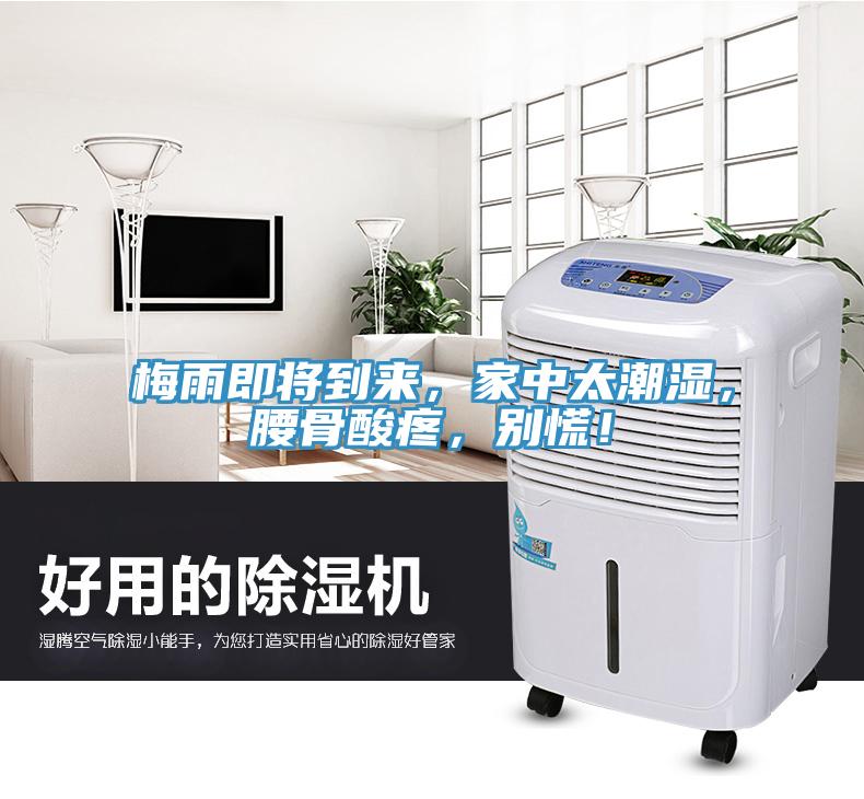 梅雨即將到來，家中太潮濕，腰骨酸疼，別慌！