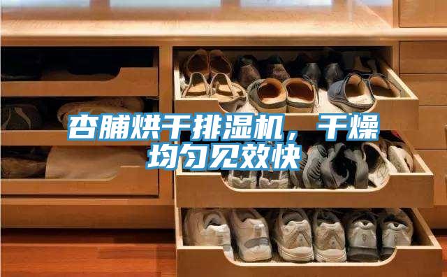 杏脯烘干排濕機，干燥均勻見效快