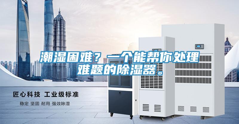潮濕困難？一個能幫你處理難題的除濕器。