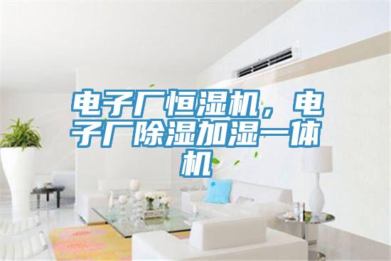 電子廠恒濕機(jī)，電子廠除濕加濕一體機(jī)