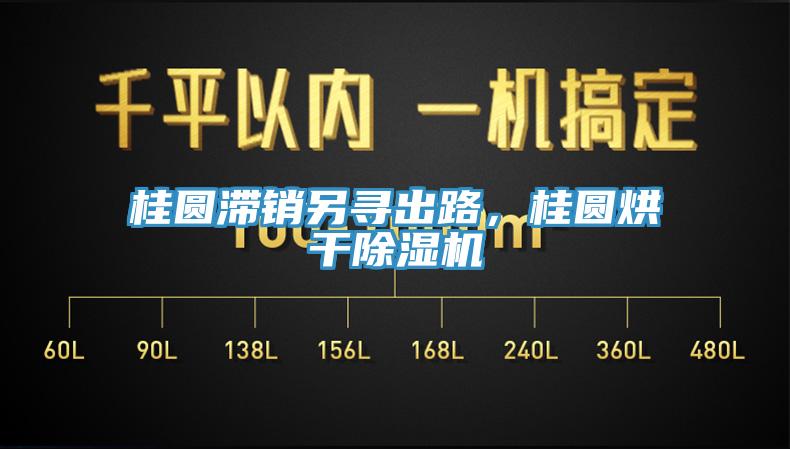 桂圓滯銷另尋出路，桂圓烘干除濕機