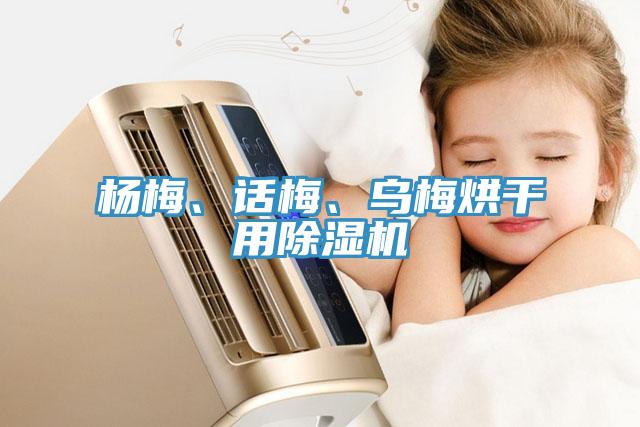 楊梅、話梅、烏梅烘干用除濕機
