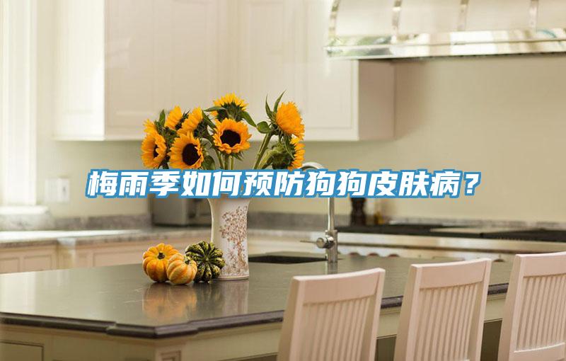 梅雨季如何預(yù)防狗狗皮膚??？