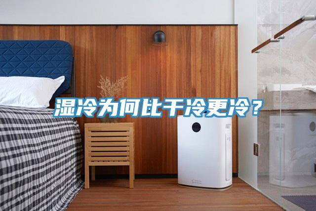 濕冷為何比干冷更冷？