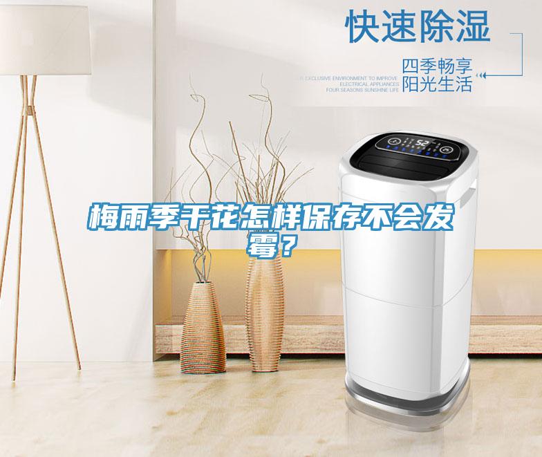 梅雨季干花怎樣保存不會(huì)發(fā)霉？