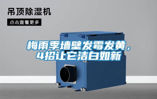 梅雨季墻壁發(fā)霉發(fā)黃，4招讓它潔白如新