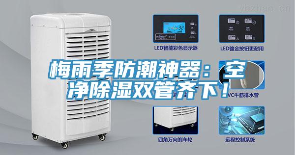 梅雨季防潮神器：空凈除濕雙管齊下！