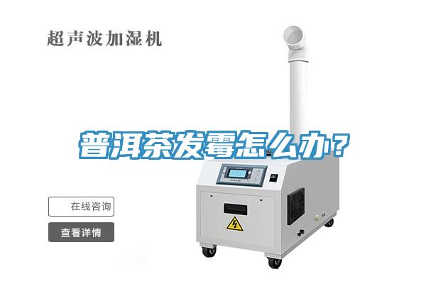普洱茶發(fā)霉怎么辦？