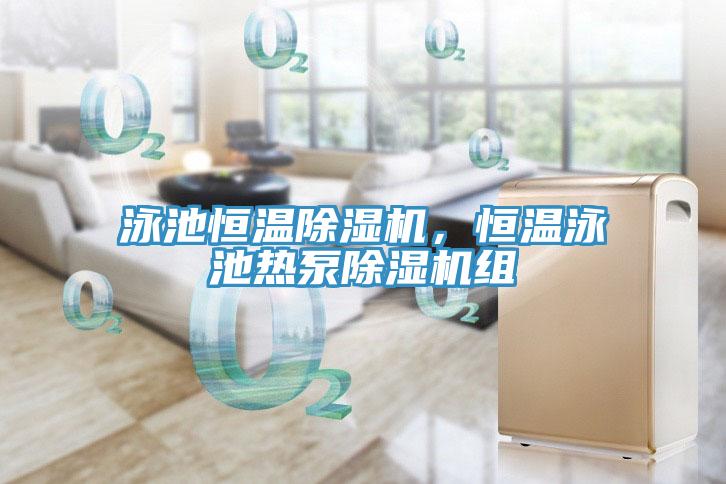 泳池恒溫除濕機，恒溫泳池?zé)岜贸凉駲C組