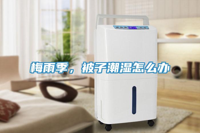 梅雨季，被子潮濕怎么辦