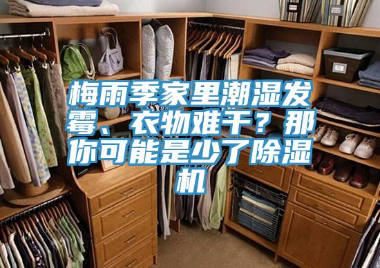 梅雨季家里潮濕發(fā)霉、衣物難干？那你可能是少了除濕機