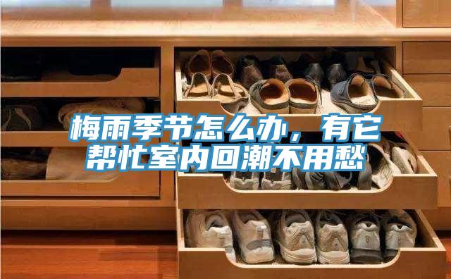 梅雨季節(jié)怎么辦，有它幫忙室內(nèi)回潮不用愁
