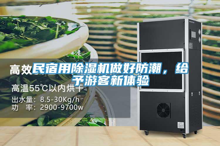 民宿用除濕機(jī)做好防潮，給予游客新體驗(yàn)
