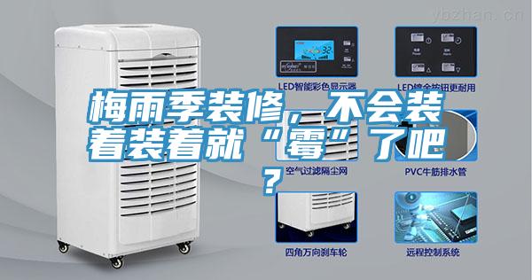 梅雨季裝修，不會(huì)裝著裝著就“霉”了吧？