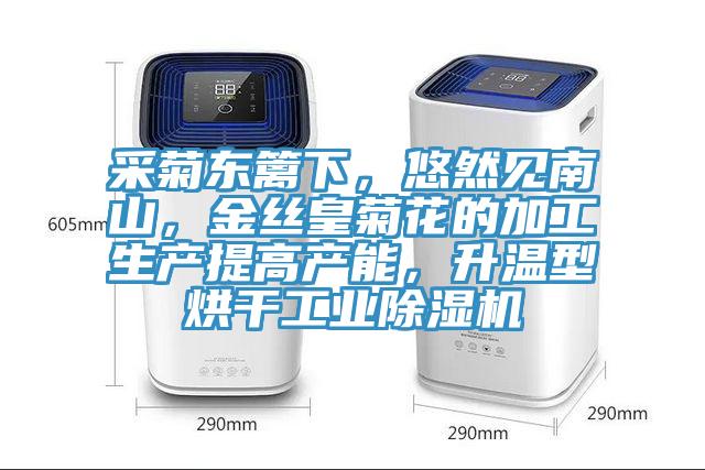 采菊東籬下，悠然見南山，金絲皇菊花的加工生產(chǎn)提高產(chǎn)能，升溫型烘干工業(yè)除濕機