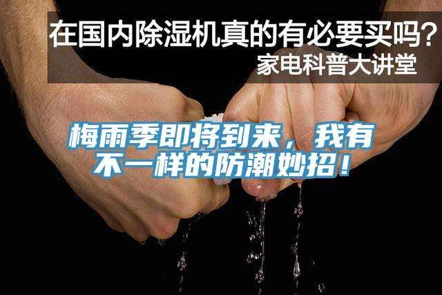 梅雨季即將到來，我有不一樣的防潮妙招！