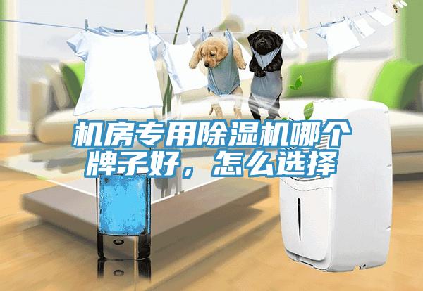 機(jī)房專用除濕機(jī)哪個牌子好，怎么選擇