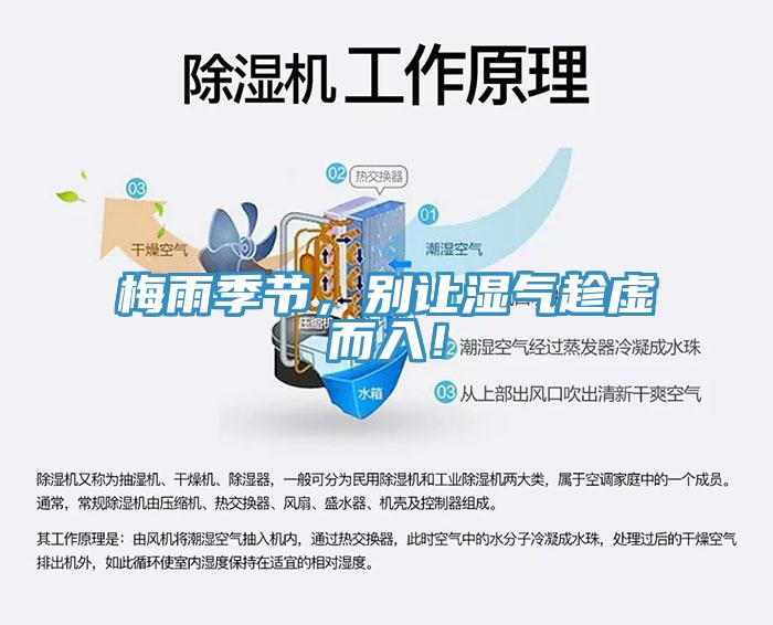 梅雨季節(jié)，別讓濕氣趁虛而入！