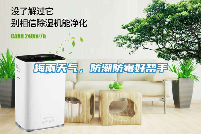 梅雨天氣，防潮防霉好幫手