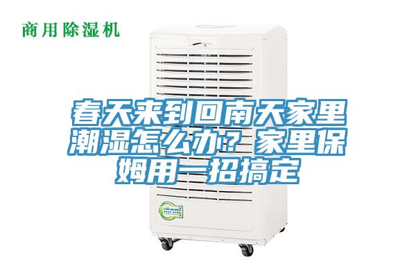 春天來到回南天家里潮濕怎么辦？家里保姆用一招搞定