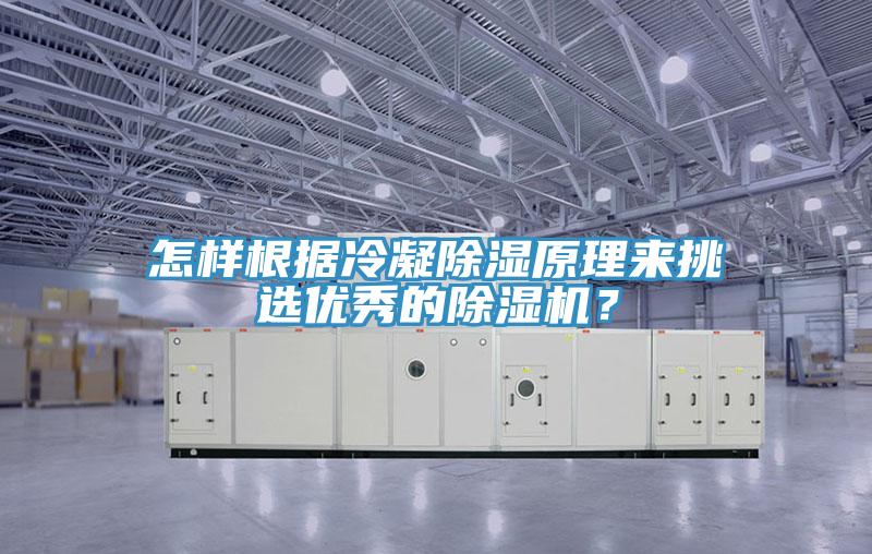 怎樣根據(jù)冷凝除濕原理來挑選優(yōu)秀的除濕機(jī)？