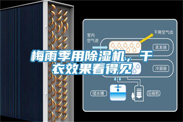 梅雨季用除濕機(jī)，干衣效果看得見