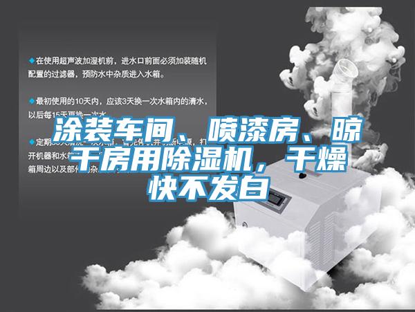 涂裝車間、噴漆房、晾干房用除濕機(jī)，干燥快不發(fā)白