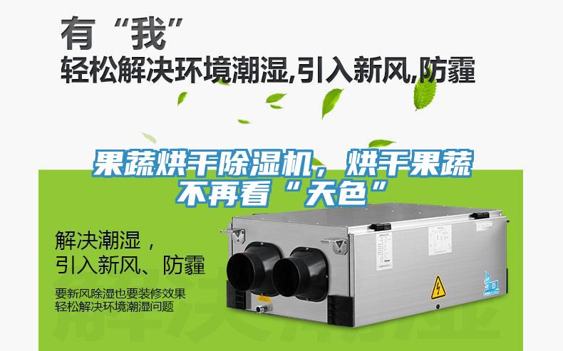 果蔬烘干除濕機，烘干果蔬不再看“天色”