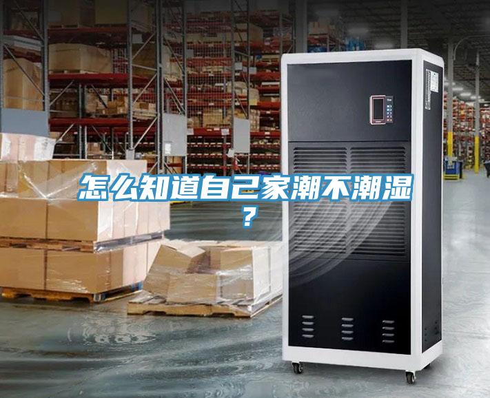 怎么知道自己家潮不潮濕？