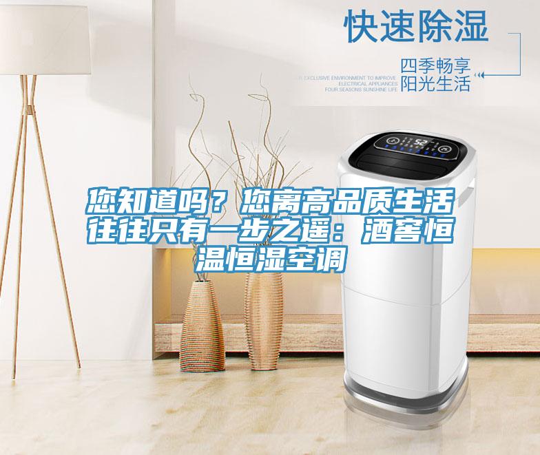 您知道嗎？您離高品質(zhì)生活往往只有一步之遙：酒窖恒溫恒濕空調(diào)