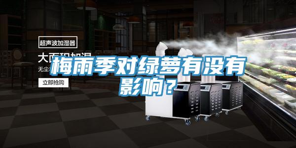 梅雨季對綠蘿有沒有影響？