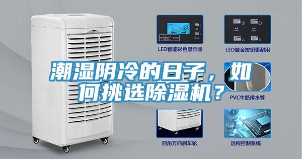 潮濕陰冷的日子，如何挑選除濕機？